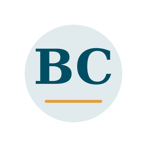 Brdel Chimney Repair logo